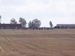 IMG_8462_web